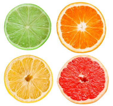 Citrus slices clipart