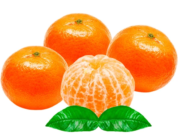 Mandarin — Stok fotoğraf