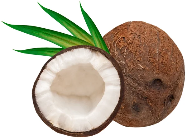 Kokosnötter — Stockfoto