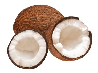 Coconut clipart