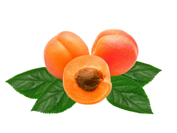 Aprikoser — Stockfoto