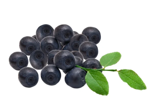 stock image Blueberry