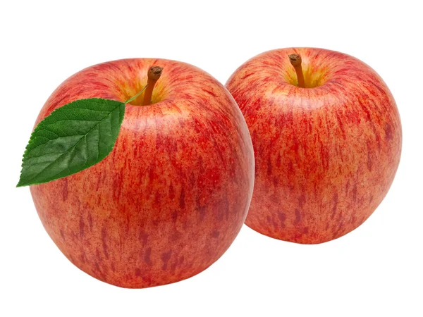 stock image Red apple