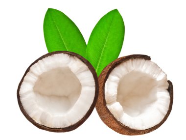 Coconut clipart