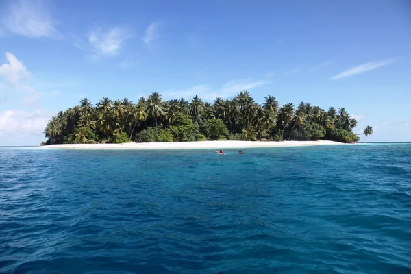 在马尔代夫浮潜 — 图库照片