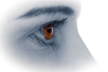 Braunes Auge
