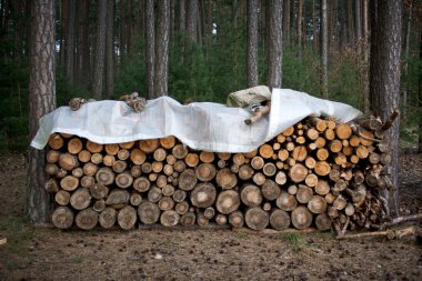 Gegen kalte Winternächte