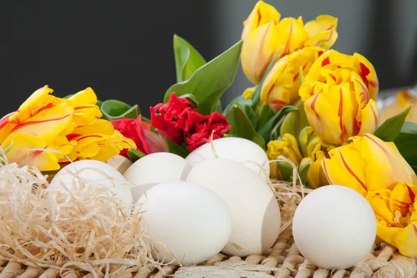 Stock image Yellow and red tulips with white eggs lying on a straw tray