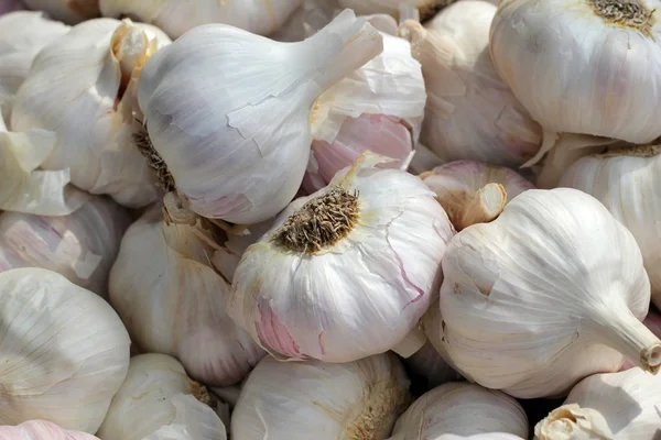 stock image Garlic on market