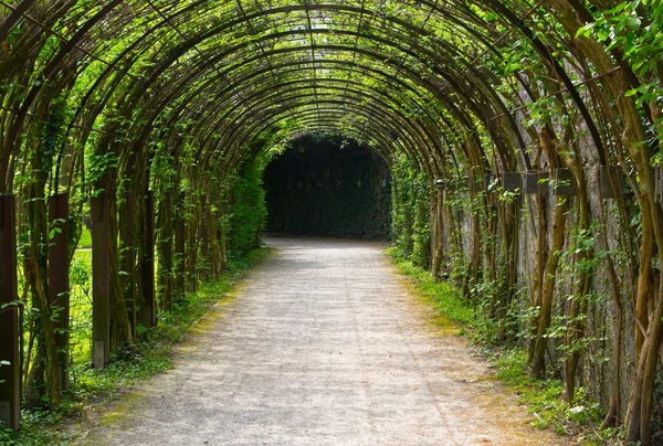 stock image Green loggia