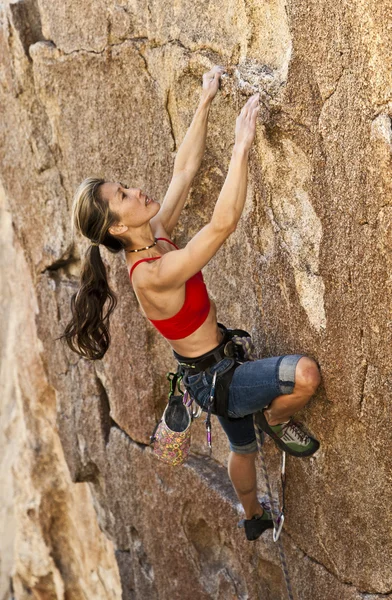 여성 락 등산. — 스톡 사진