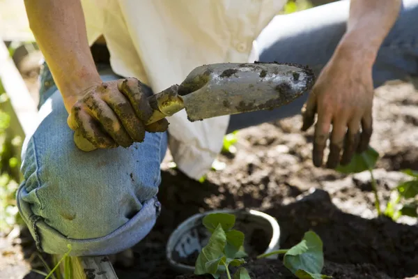 Young woman gardening. — Stock Photo, Image