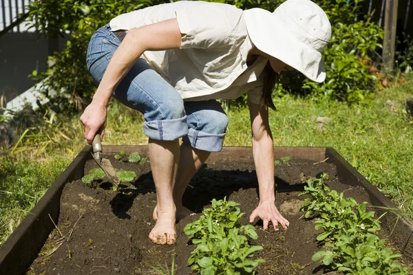 Mujer joven Jardinería . — Foto de Stock