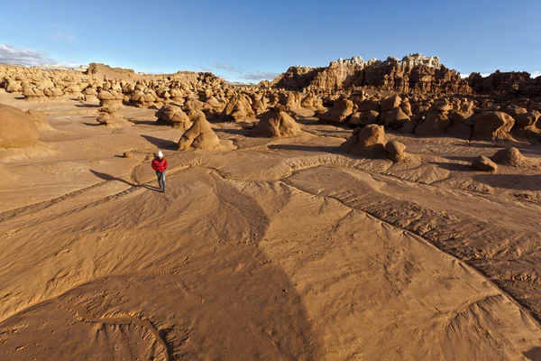 Wanderer in der Wüste. — Stockfoto