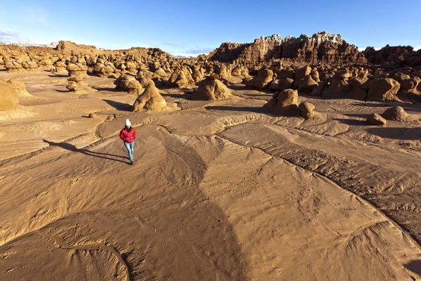 Wanderer in der Wüste. — Stockfoto