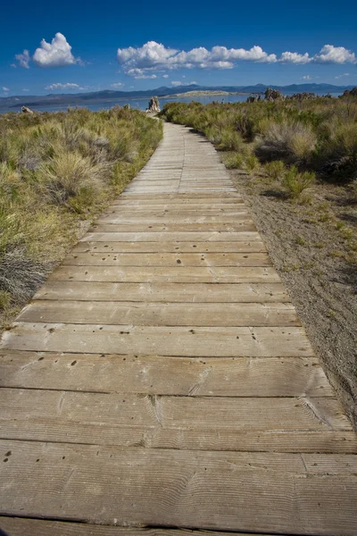 stock image Walkway to Mono Lake.