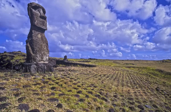 Paskalya Adası heykelleri. — Stok fotoğraf