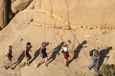 Group of women hiking. clipart