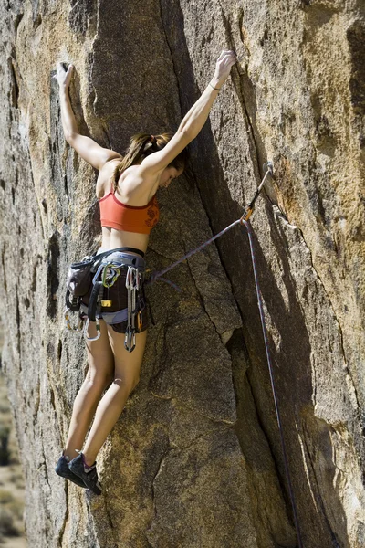 女性のクライマーが崖にしがみついています。. — ストック写真