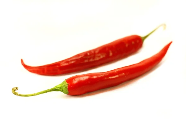 Červené chilli papričky izolované na bílém pozadí — Stock fotografie