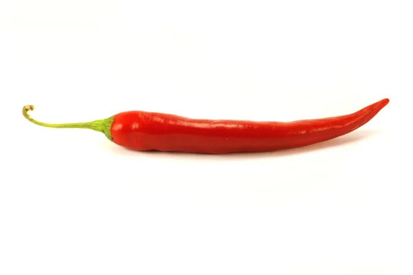 Červená chilli paprika izolované na bílém pozadí — Stock fotografie