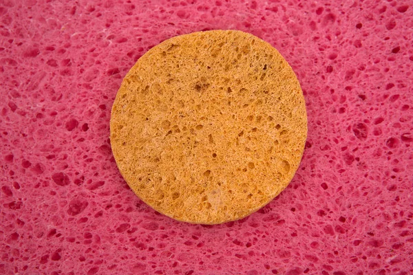Porous pink structure with yellow circle