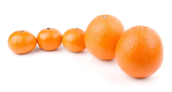オレンジとみかんの行 — ストック写真