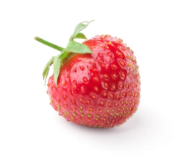 Single ripe strawberry — Stock Photo, Image