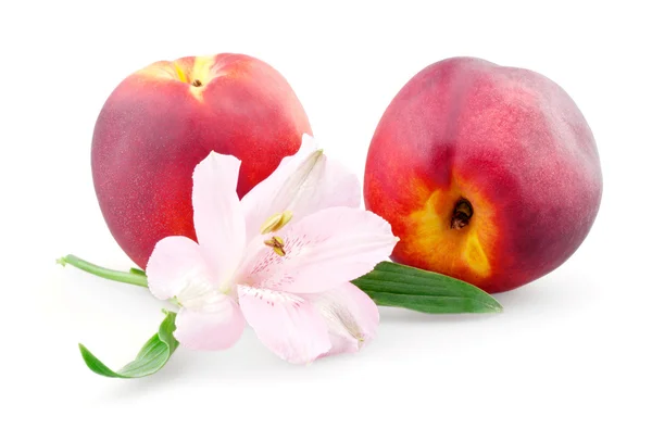Два персики і альстромерії — стокове фото