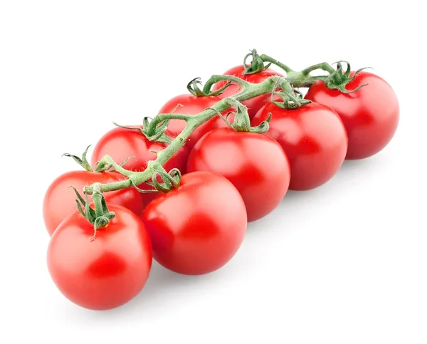 Pobočka cherry rajčat — Stock fotografie