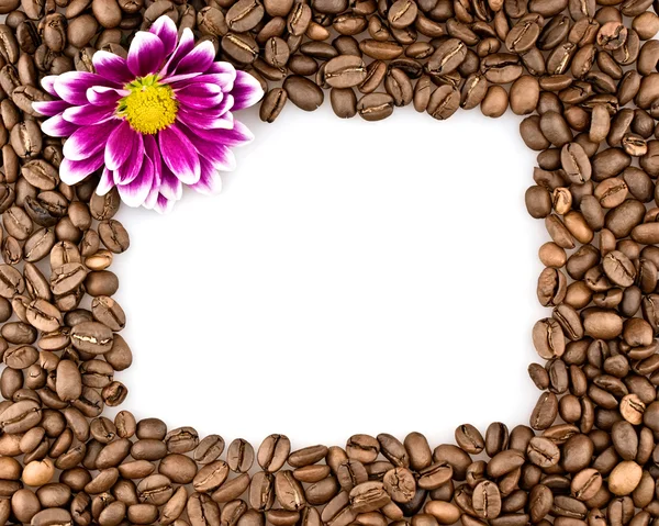 Frame made of coffee and chrysanthemums — Stock Photo, Image