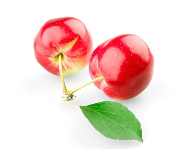 Två söta äpplen med blad — Stockfoto
