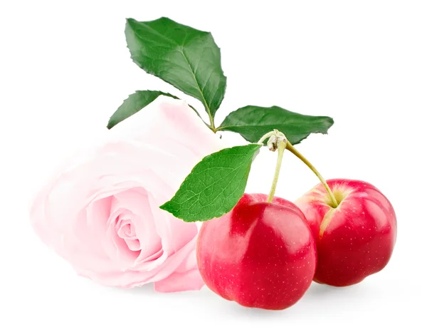 Розовая роза и два красных яблока с листьями — стоковое фото