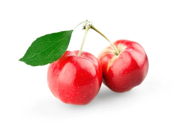 Sladké mini jablka — Stock fotografie