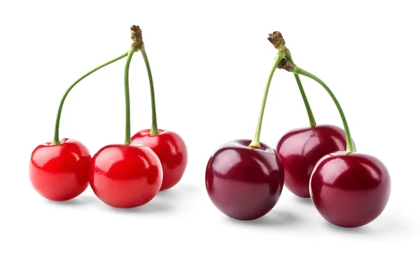 Красные и виноградные вишни — стоковое фото