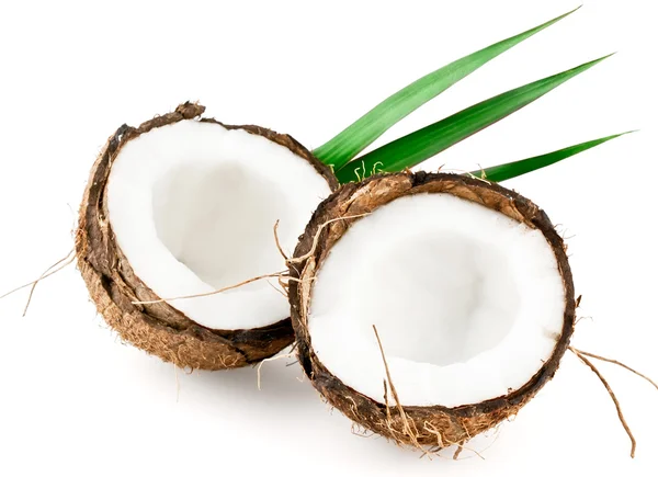 stock image Coconut with leaves closeup