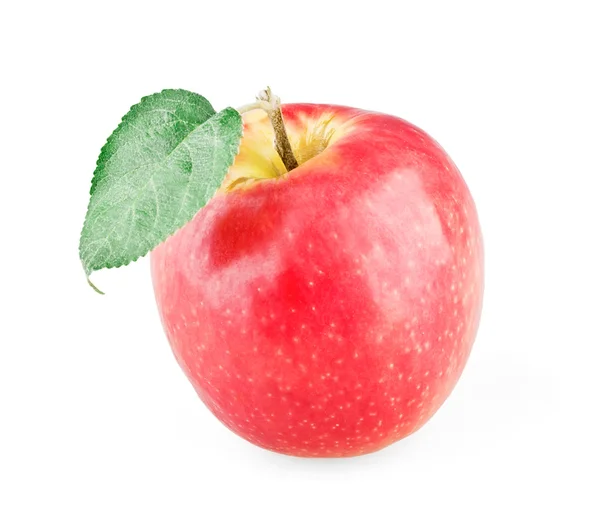 Einzelner reifer Apfel mit Blatt — Stockfoto