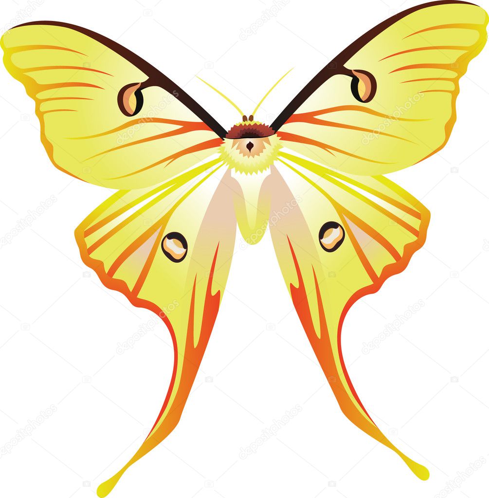 Free Free 170 Yellow Butterfly Svg SVG PNG EPS DXF File