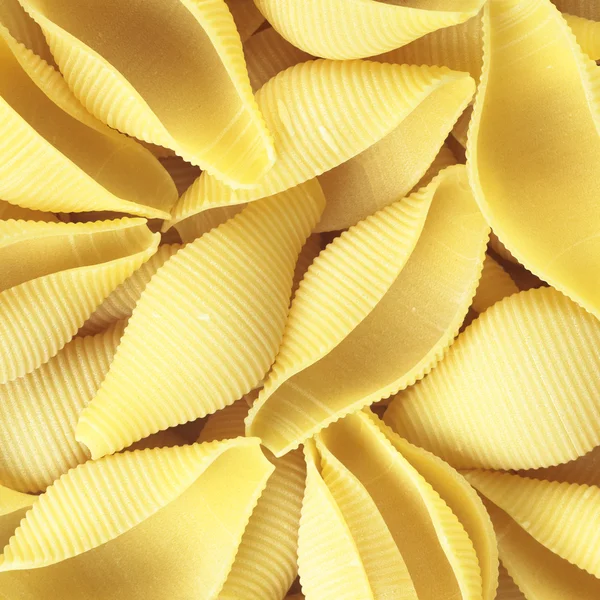 Shell pasta conchiglioni — Foto Stock
