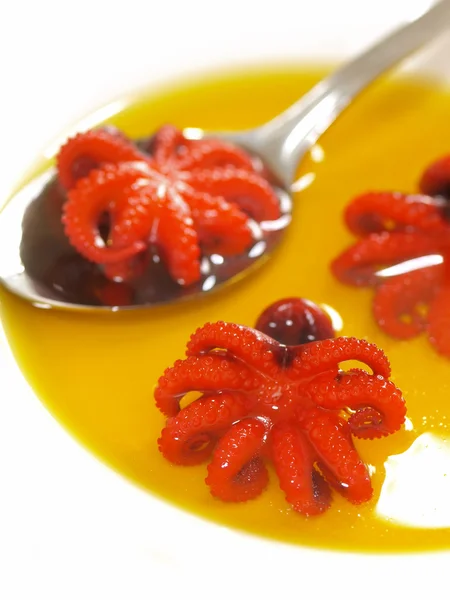 Chobotnice polévka — Stock fotografie