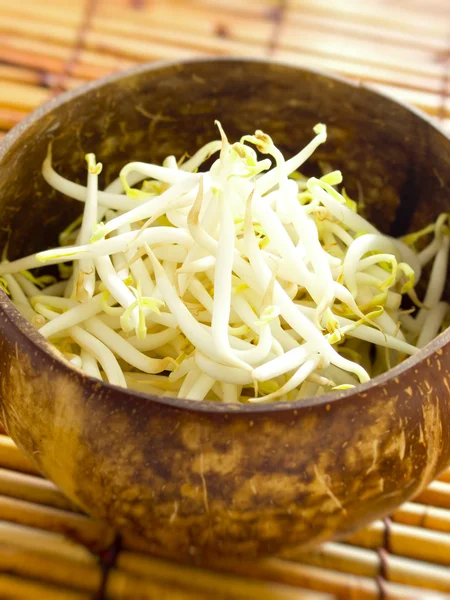 Bean sprouts — Stock Photo, Image