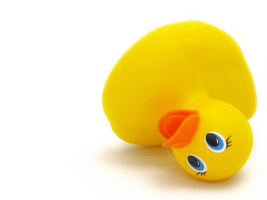 düşmüş kauçuk duckie