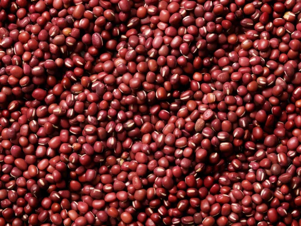 Red mung beans — Stock Photo, Image