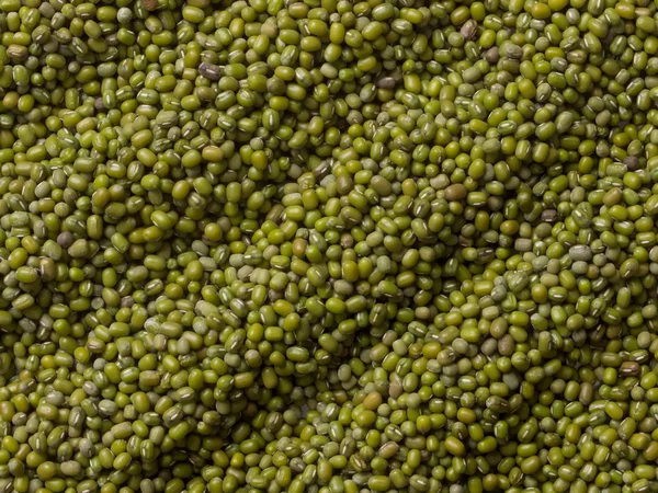 Grüne Mungbohnen — Stockfoto
