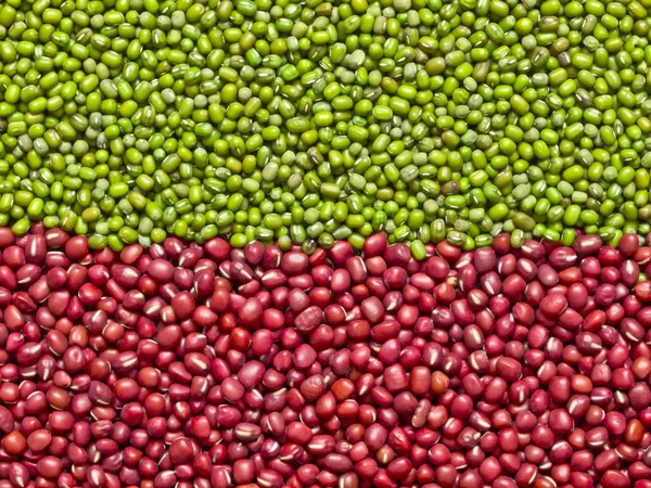 Rote und grüne Mungbohnen — Stockfoto