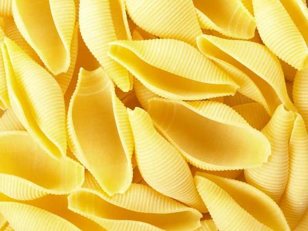 Conchiglioni pasta snäckor — Stockfoto