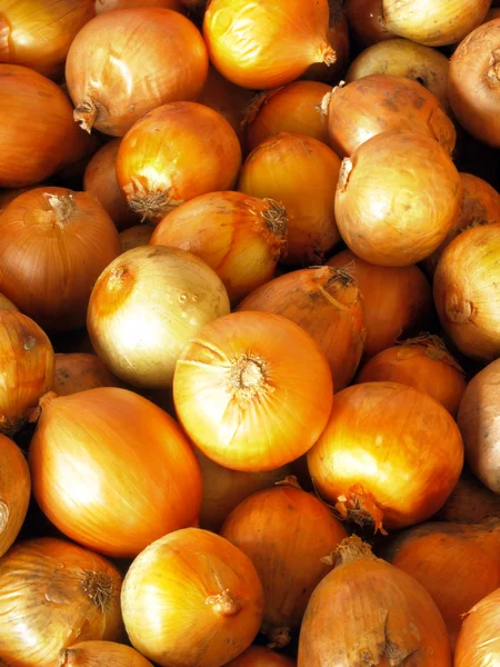 Heap of onions — Stock Photo, Image