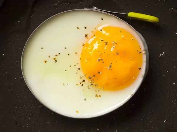 stock image Fried egg