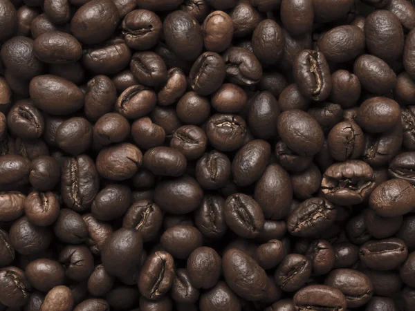 Кофейные зерна Пибоди — стоковое фото