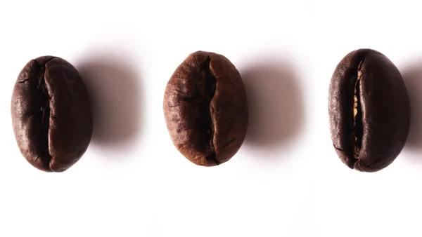 Кофейные зерна Пибоди — стоковое фото